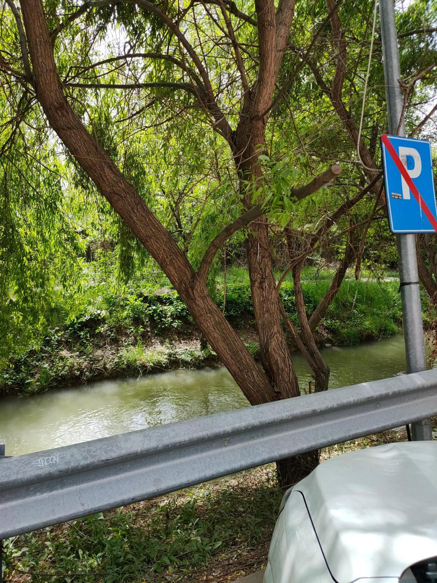 Cozy Apartment Bucharest Roşu Exterior foto